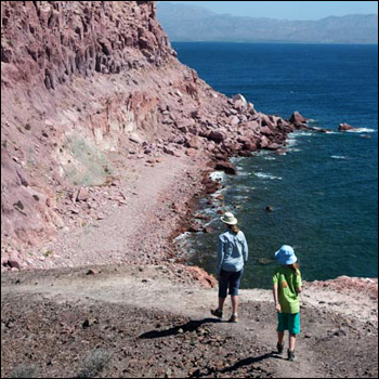 Photo copyright Selkirk/Gatehouse