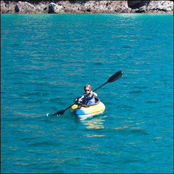 Photo copyright Selkirk/Gatehouse