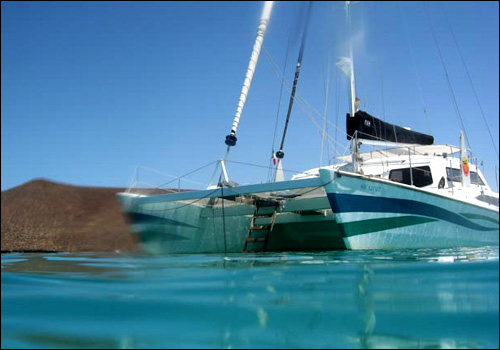 Photo copyright Selkirk/Gatehouse